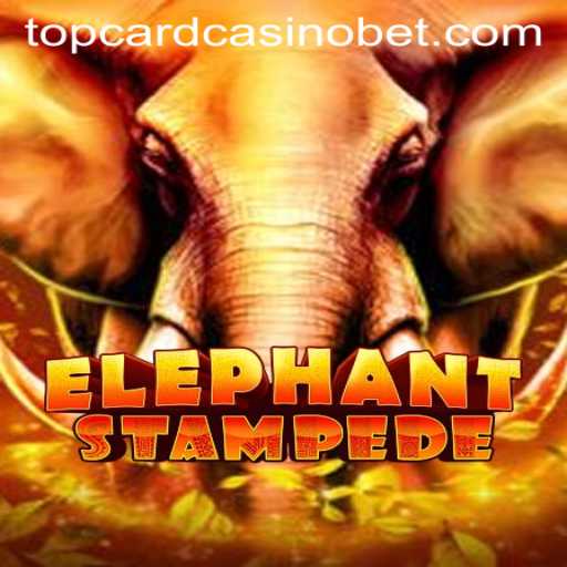 Discover the Exciting World of ElephantStampede at Top Card Casino